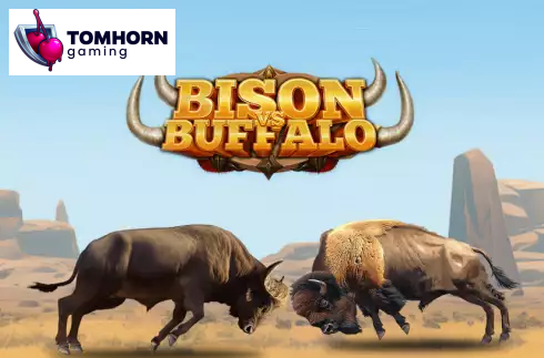Bison vs Buffalo
